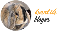 Karl�k blogger